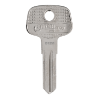 D1251 Removal Key
