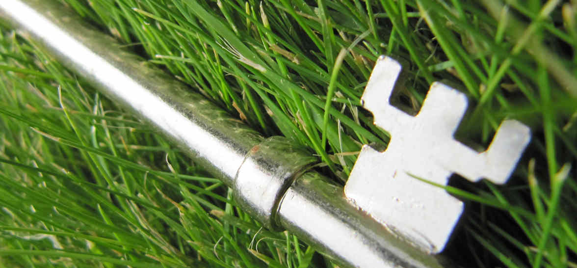 Lost key in the grass.