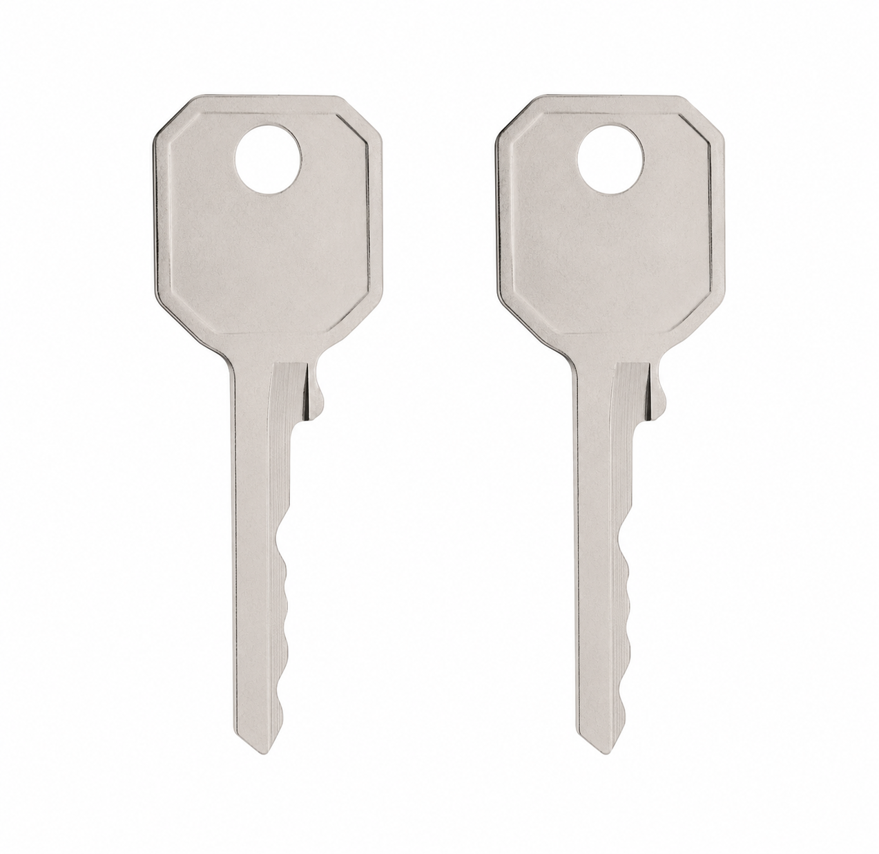 WMS 303 Window Keys (Set of 2)