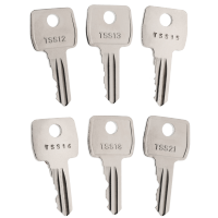 Strebor Window Keys (Set of 6)