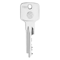 Schlosser Technik R30 Keys